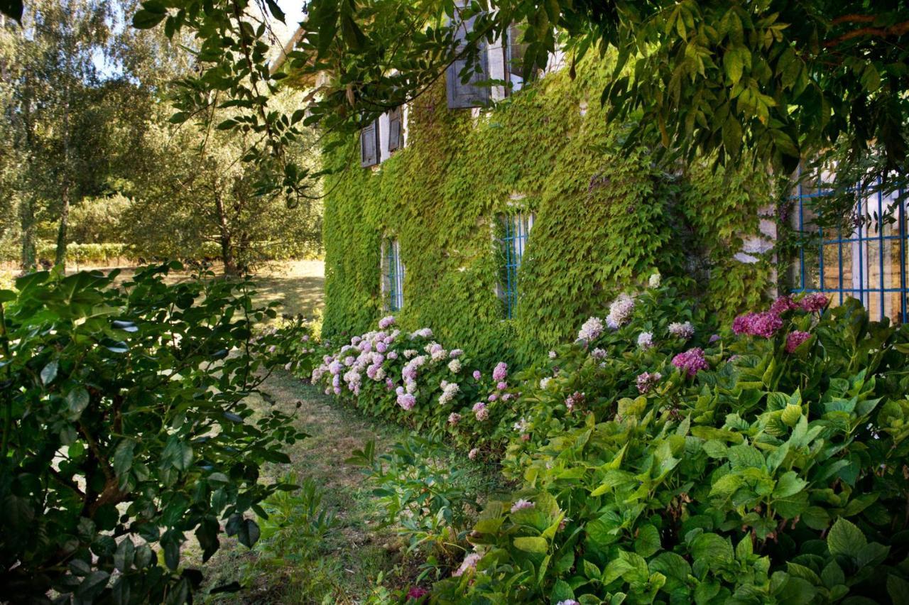 Agriturismo Tra Le Vigne 부트리오 외부 사진