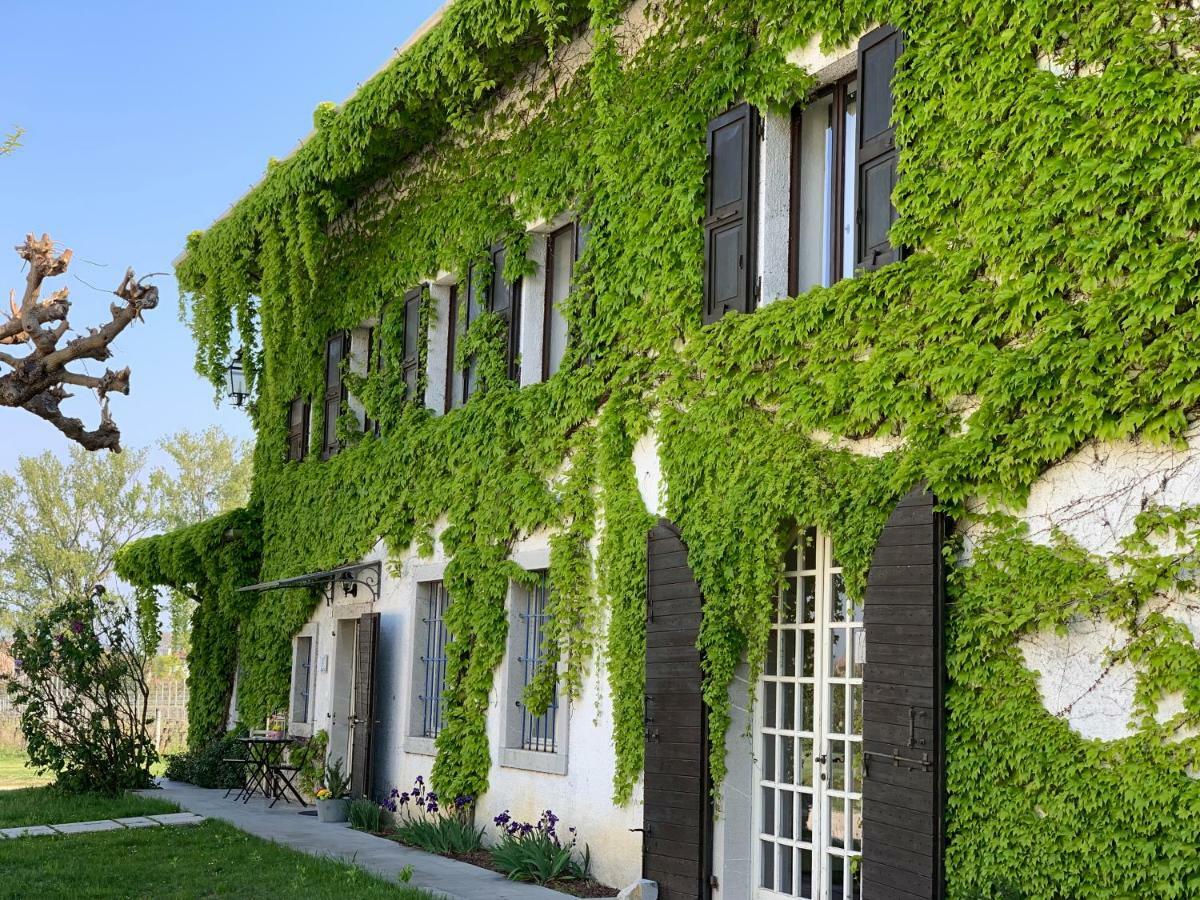 Agriturismo Tra Le Vigne 부트리오 외부 사진